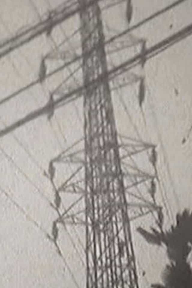 1131618