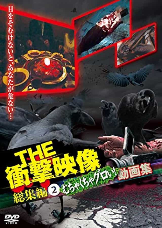 1193843
