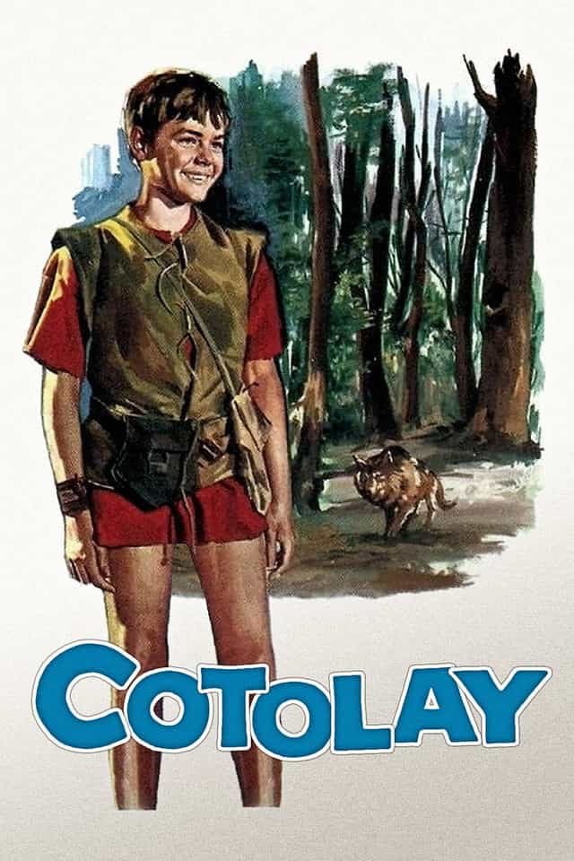 255531