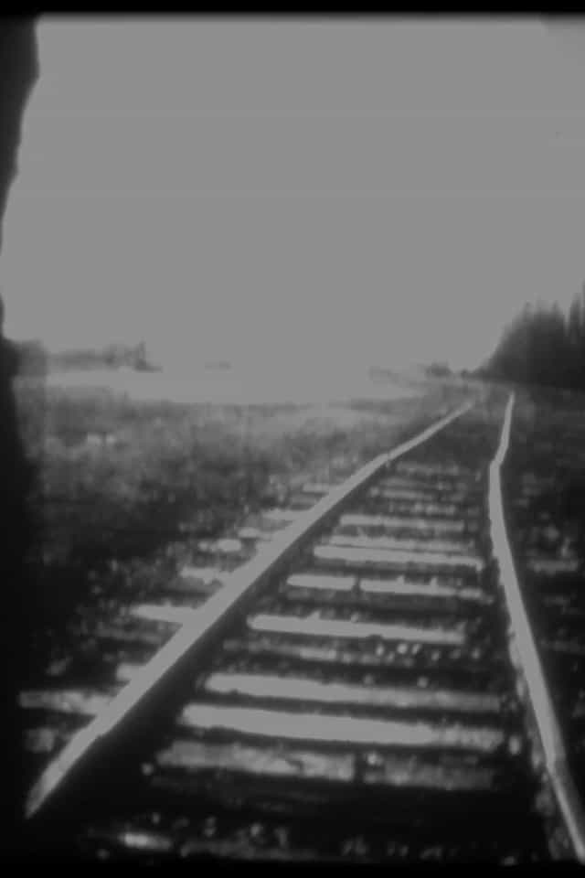 1121531