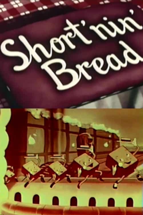 237331