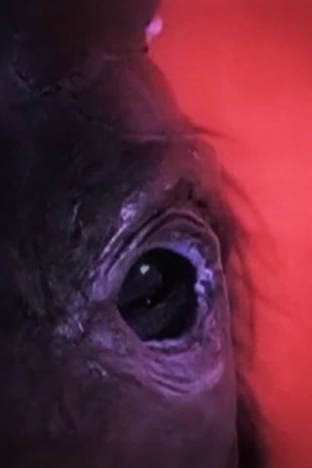 1429088