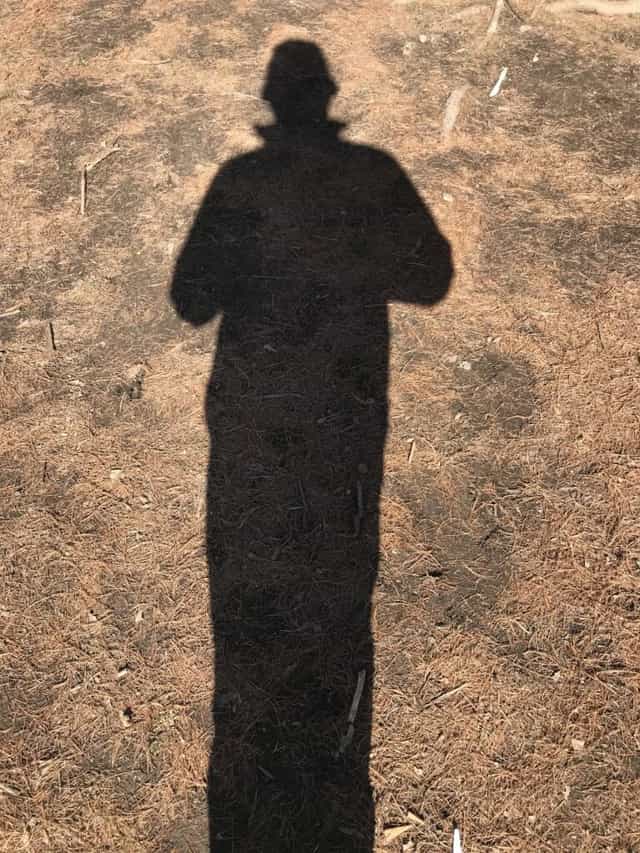 1338513