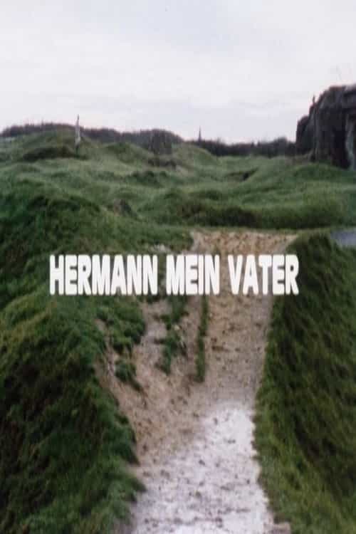 323999