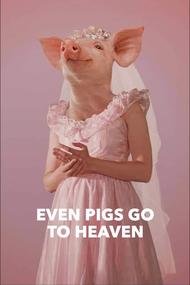 987559