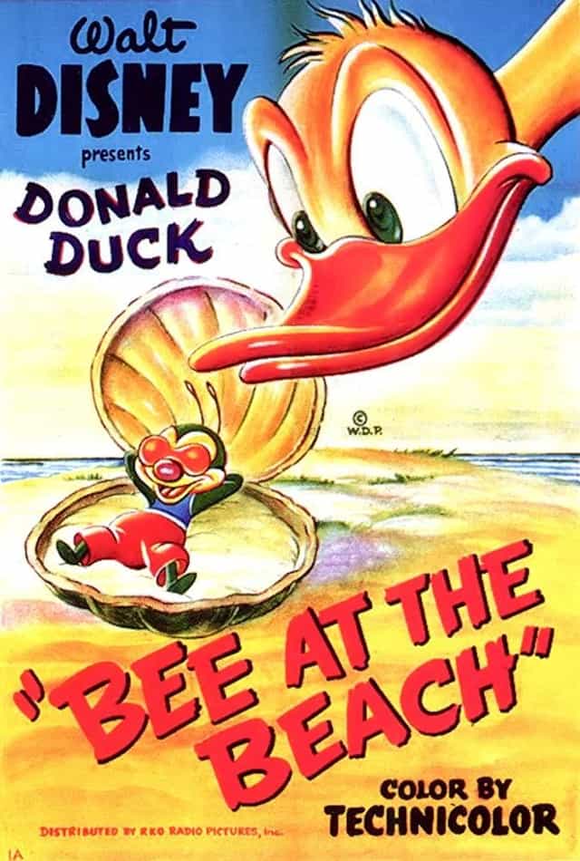 53454