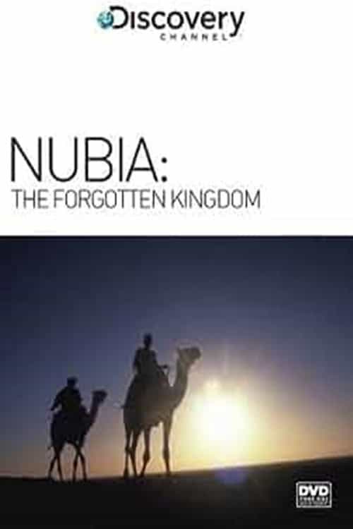 1156299