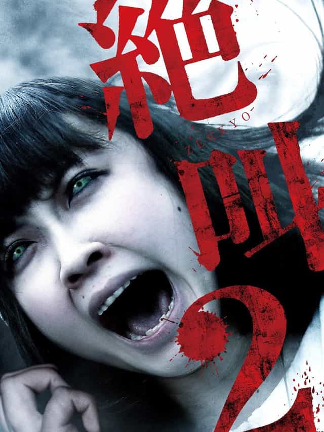 1134651