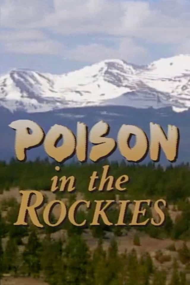 1300358