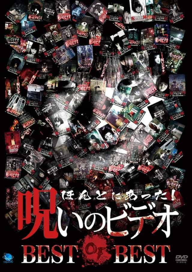 1201113