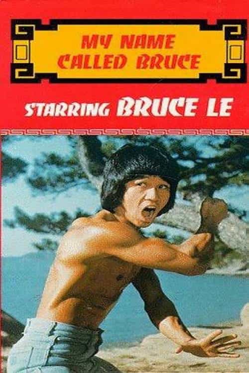 47253