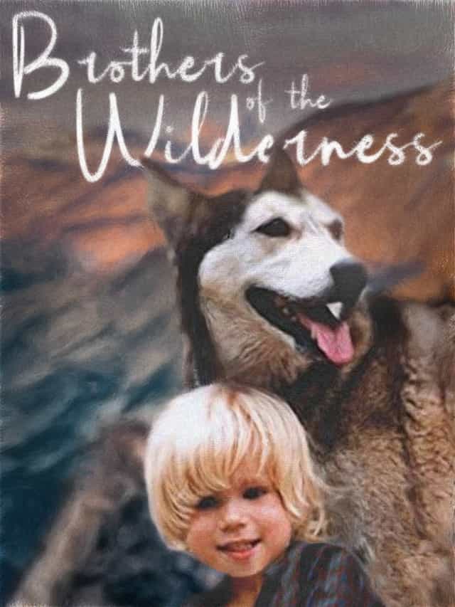 804628
