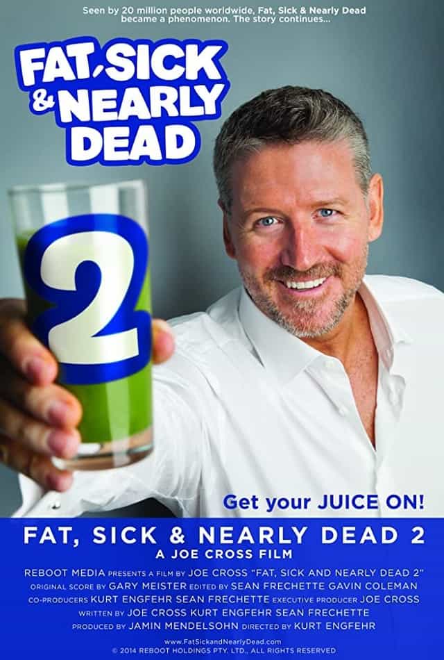291155