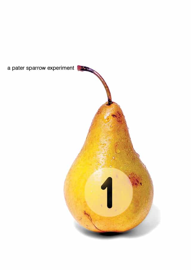 49568