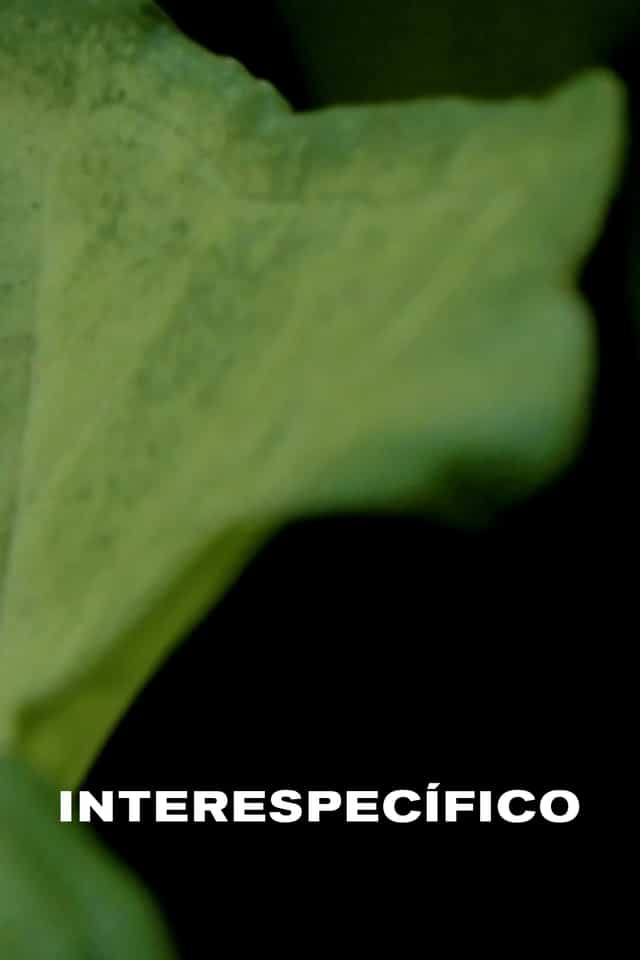 1004013