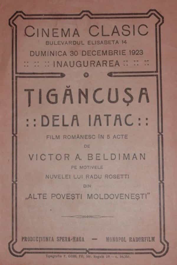 1036447