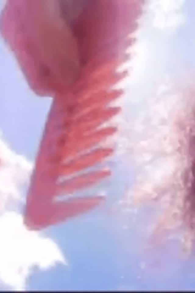 1481408