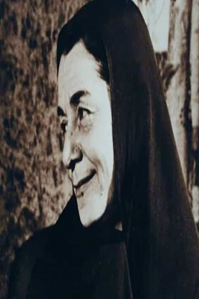1566377