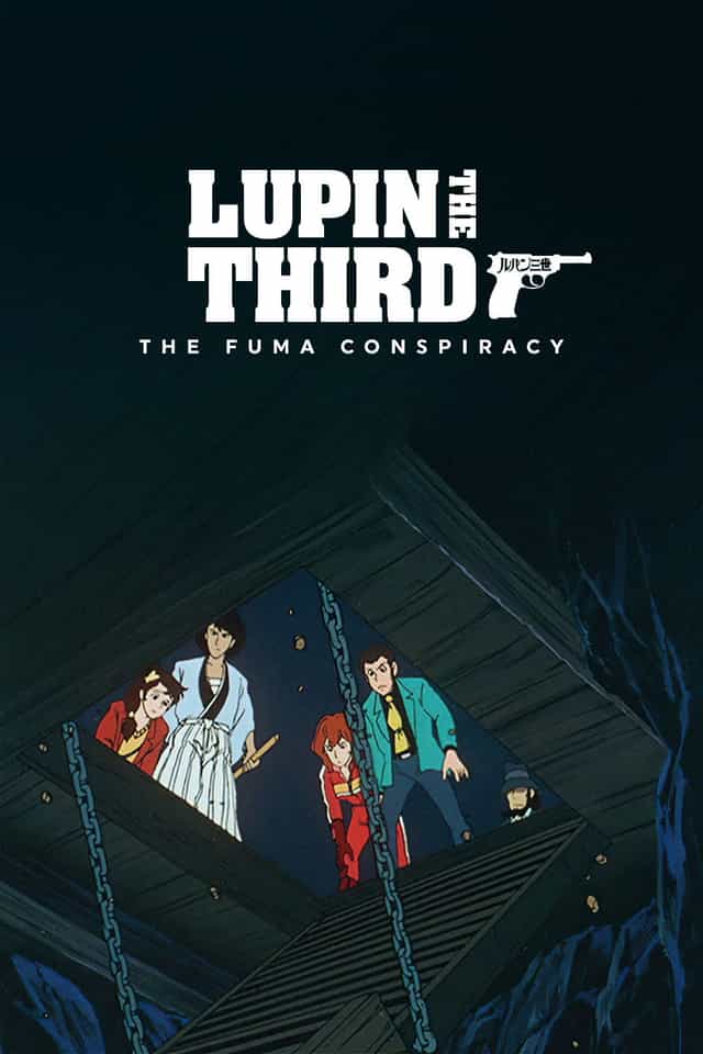 50482