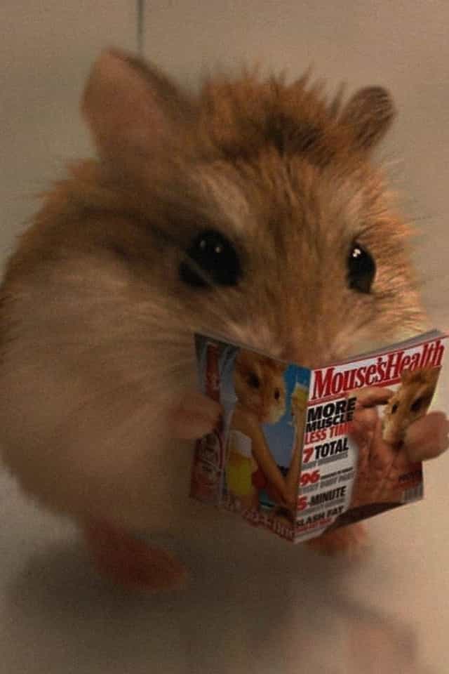 206590