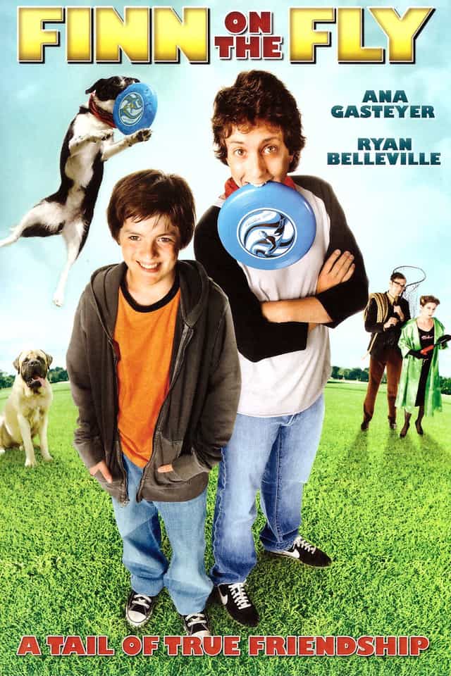 55295