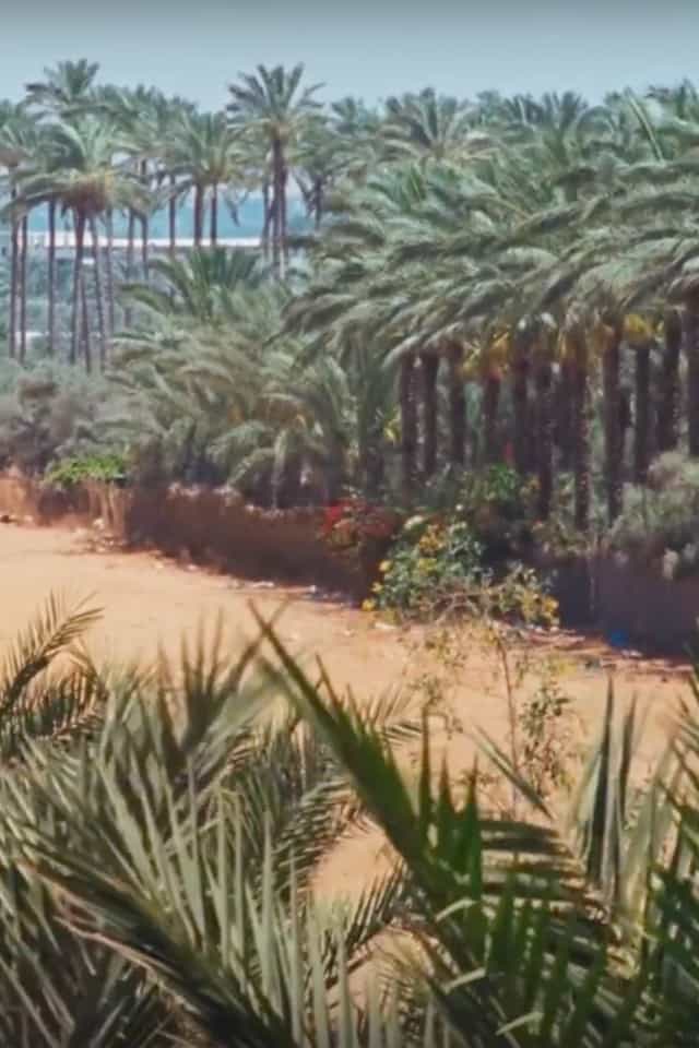 586490