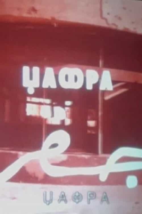 1554832