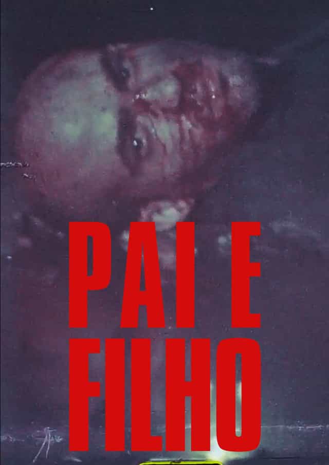 1163376