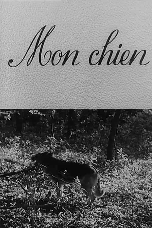 261937