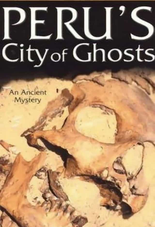 247458