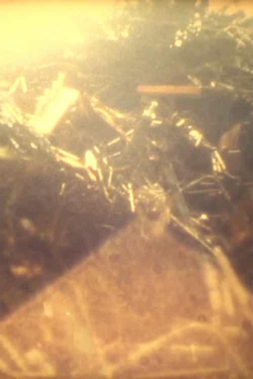 1186501