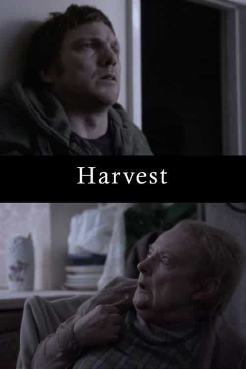 411377