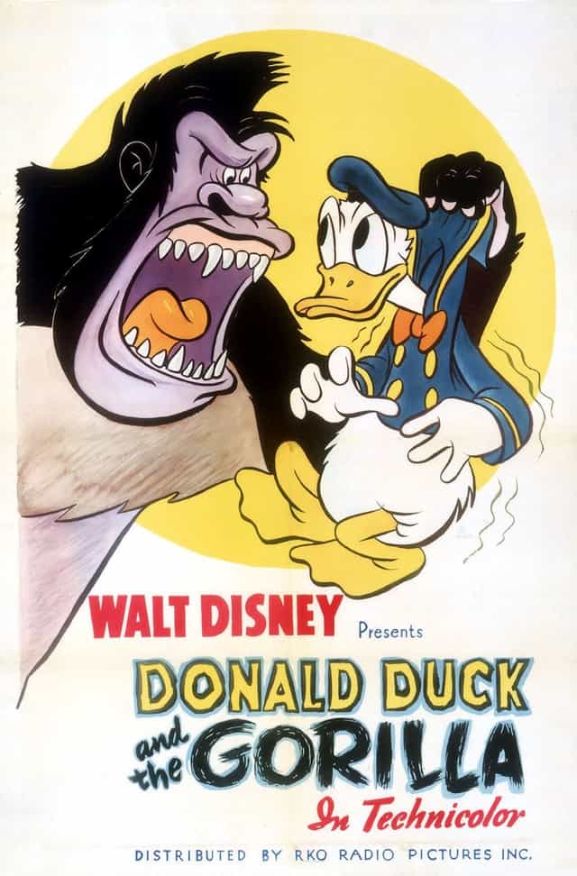 54482