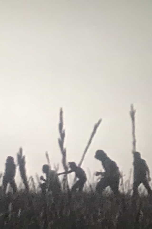 976258
