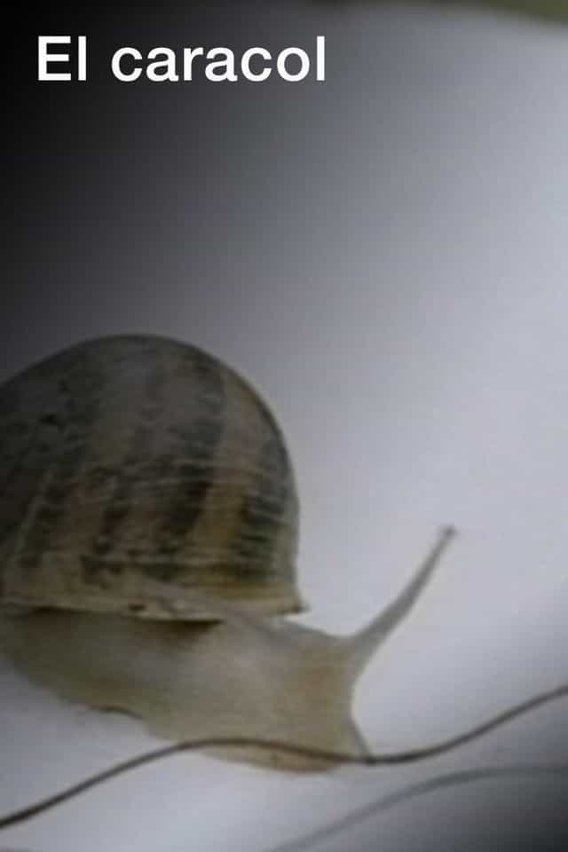 871496