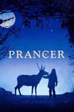 24951