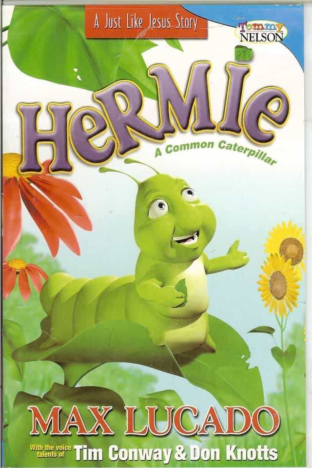 24743