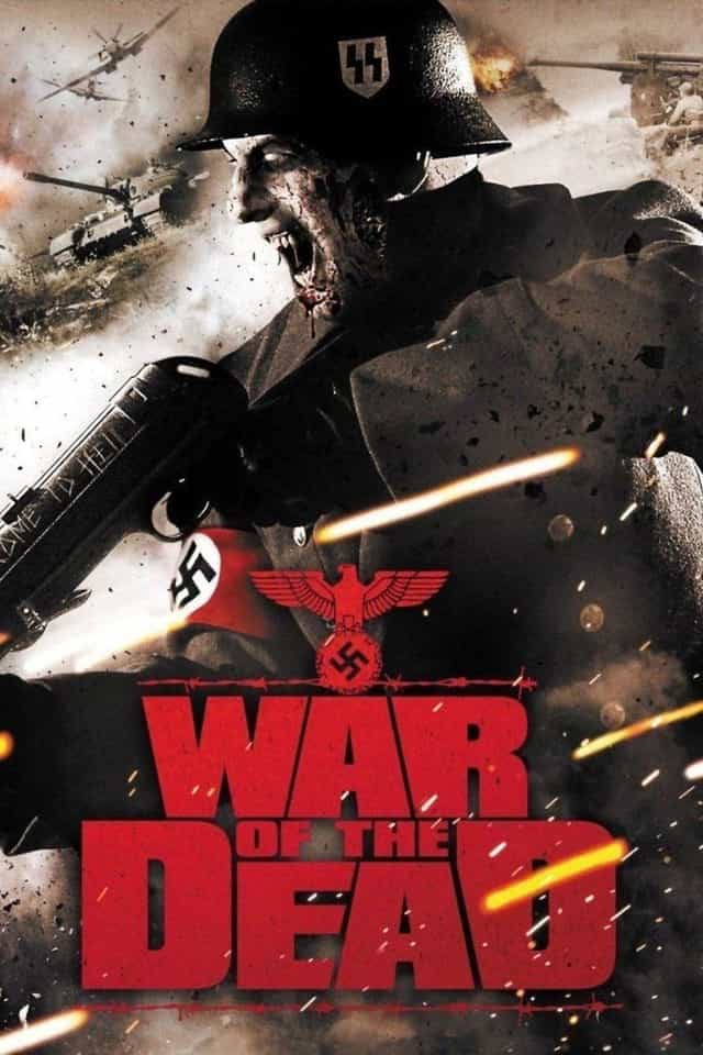 77068