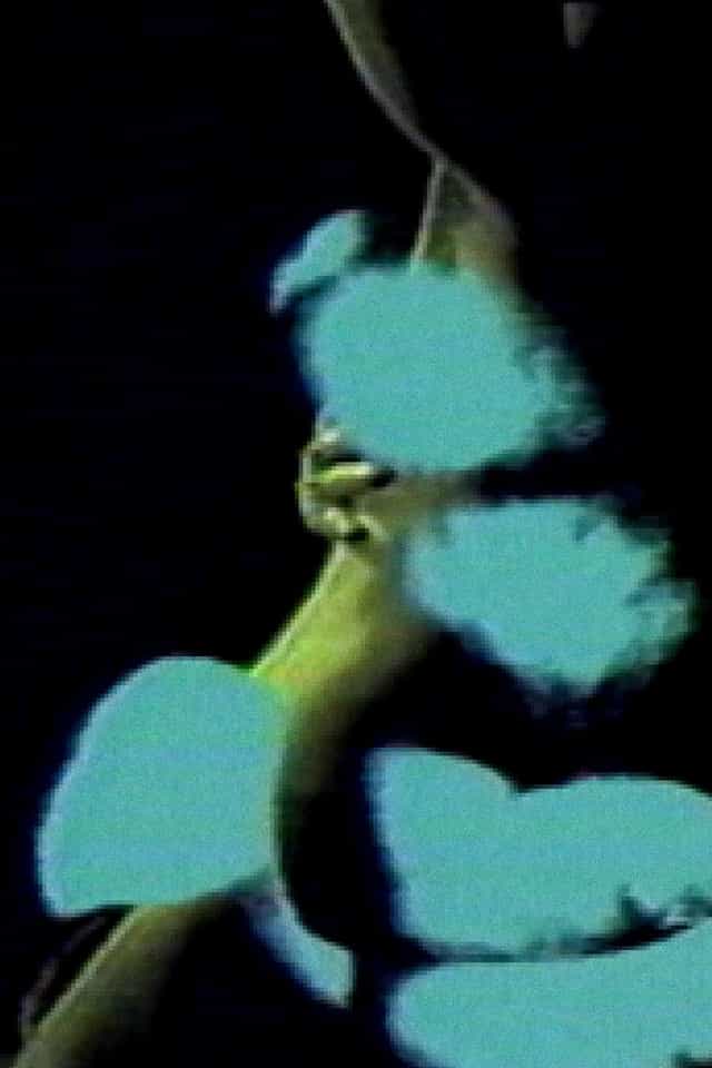 887139