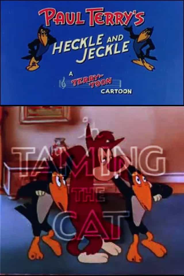 237255