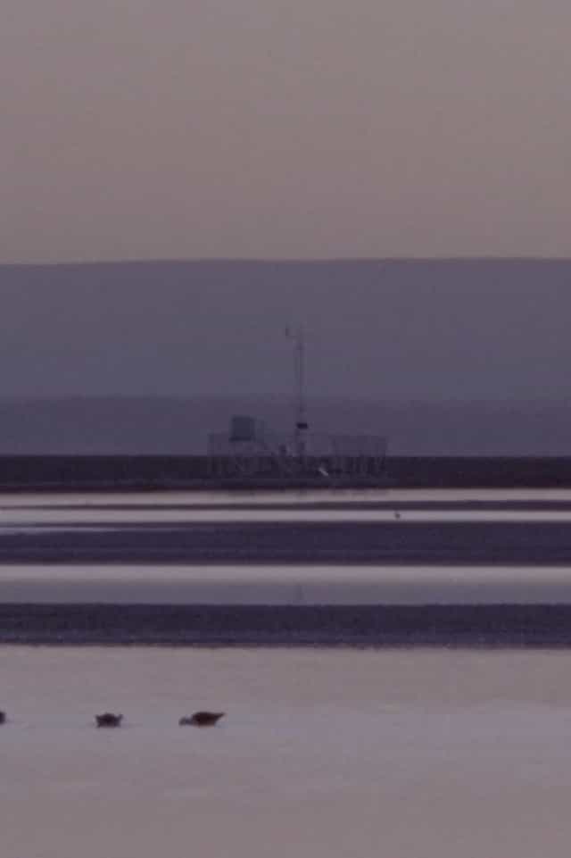 1181828