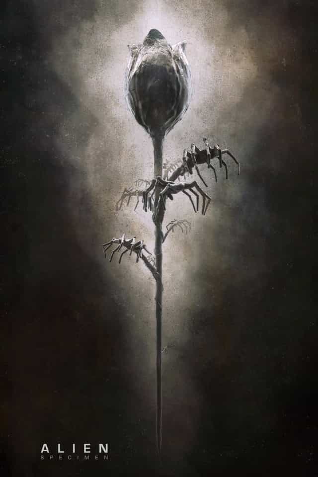 588216