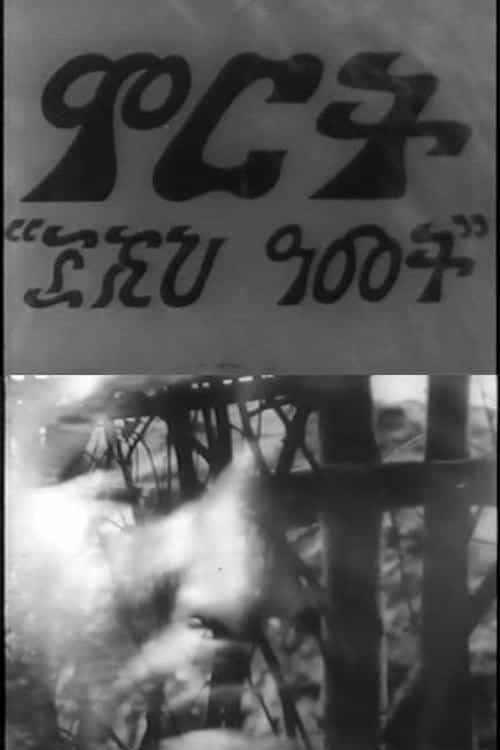 149155