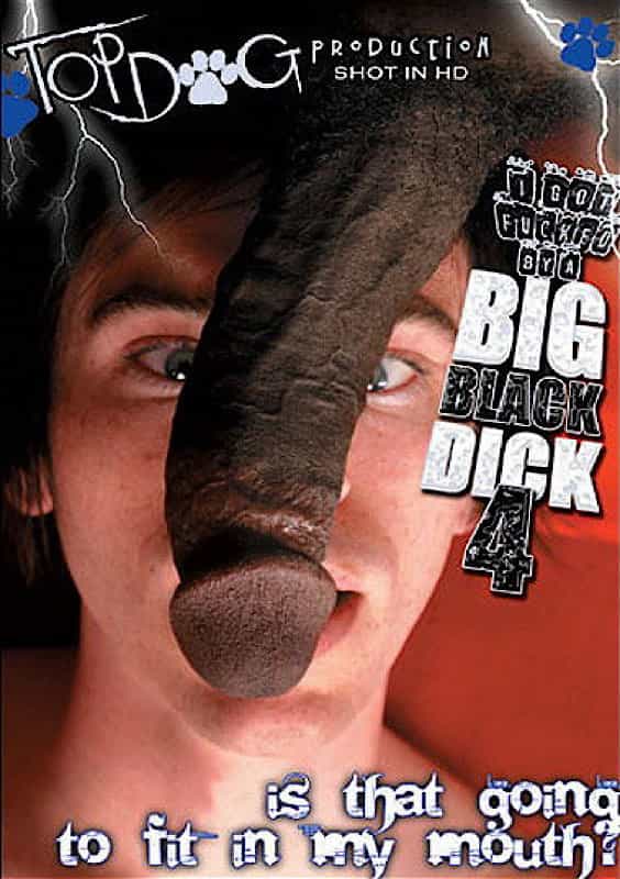 1529265