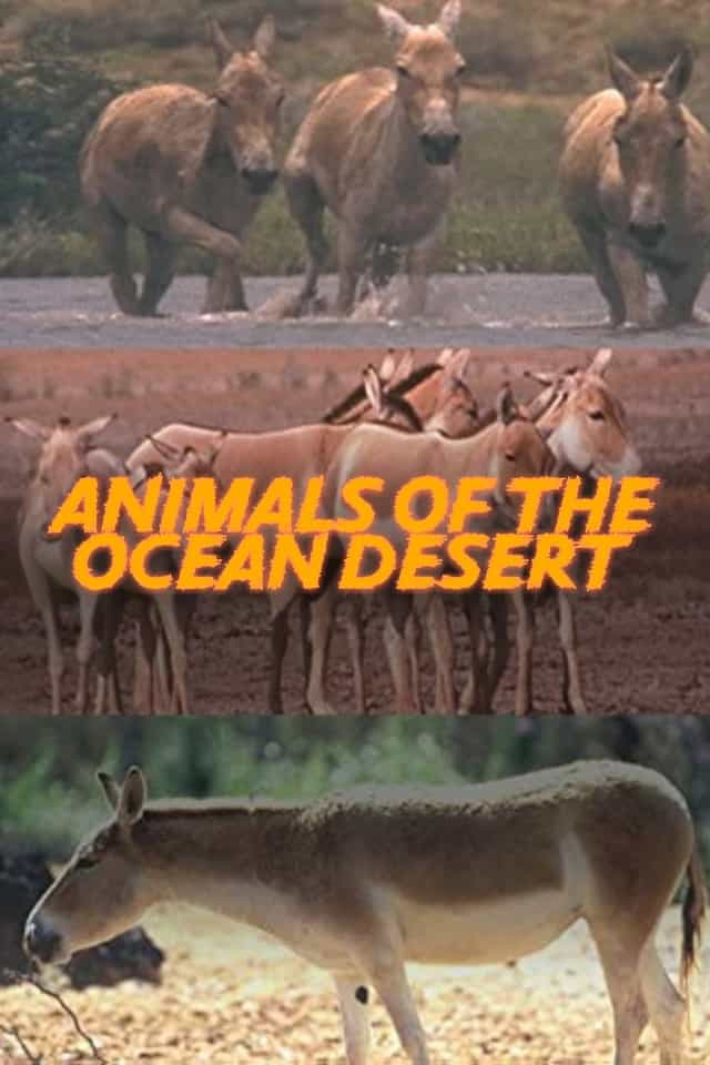 988020