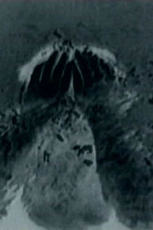 1146555