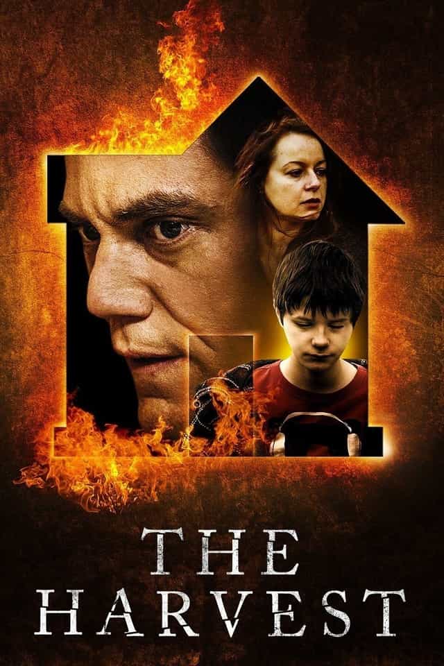 229182