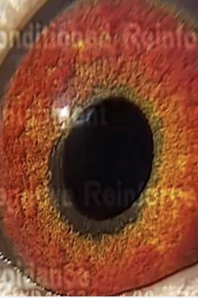 1656965