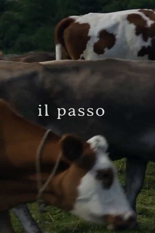 774240