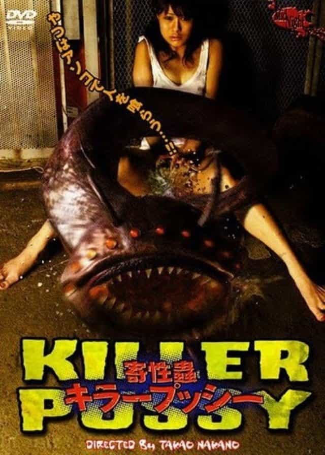 45676